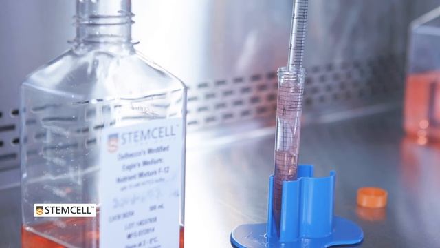 How to Culture Mouse Intestinal Organoids: Passaging смотреть онлайн