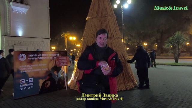 Мандариновая ёлка. Как устанавливали мировой рекорд в Абхазии