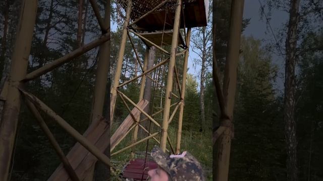 Ждем медведя смотреть онлайн