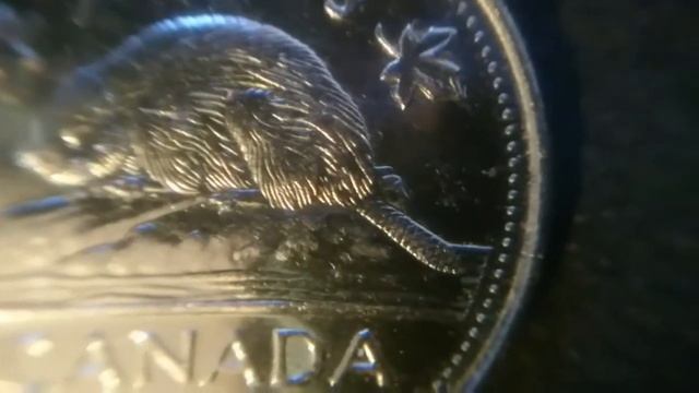 Canada | Beaver On A Rock 5 Cent Coin | 2011 смотреть онлайн