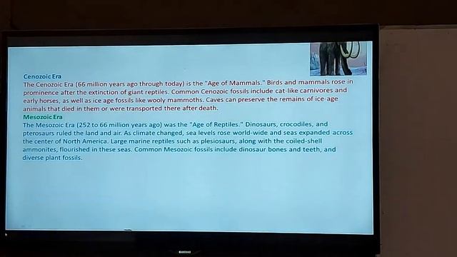 Principles of paleontology week 7 part 5 смотреть онлайн