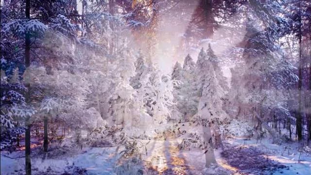 Зимний лес смотреть онлайн