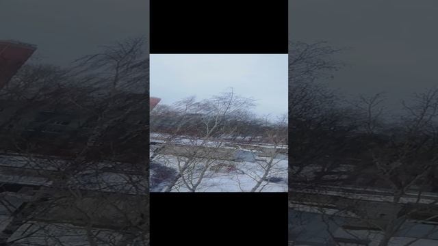 Январская вьюга