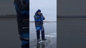 Как найти рыбу?