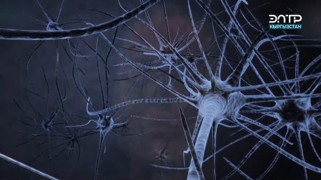 ОРОЗО КИМДЕРГЕ СУНУШТАЛБАЙТ // АДИСТЕН КЕНЕШ смотреть онлайн