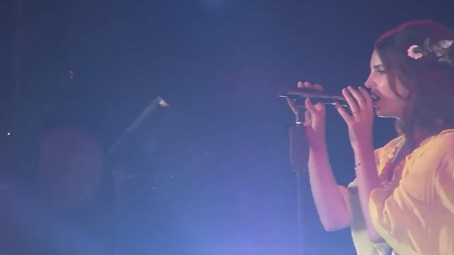 Lana Del Rey - Live At Outside Lands Festival 2016 (Full Concert HD)