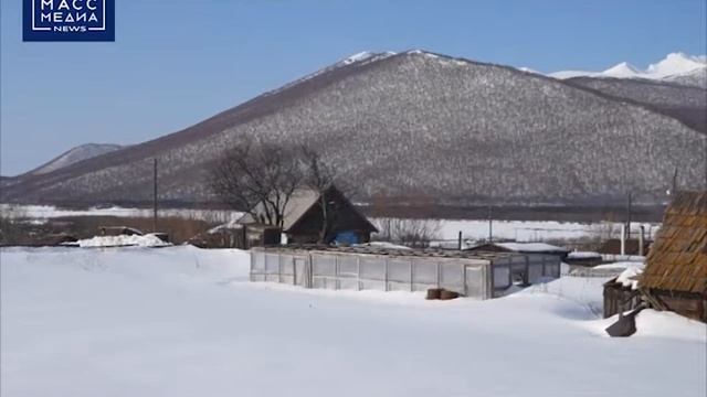 Симулировала беременность