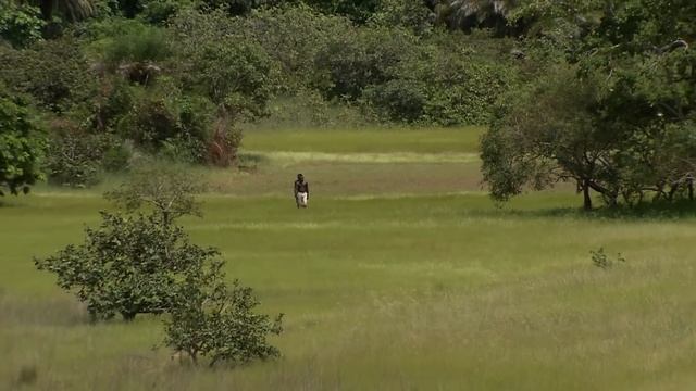Bissagos Islands, On The Mysterious Islands Of West Africa