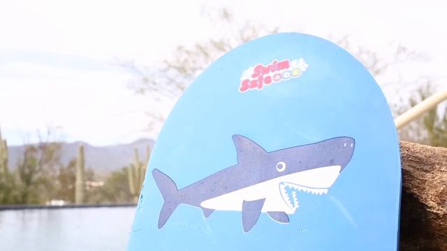 საცურაო აქსესუარები Bestway. სამკლაურები, ჯილეტები, კამერები, ცხოველები. смотреть онлайн