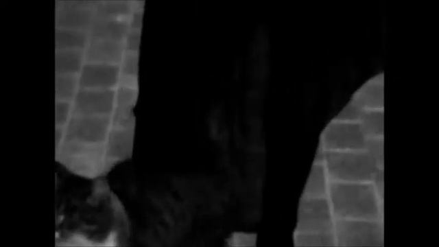 Нельзя перестать любить смотреть онлайн