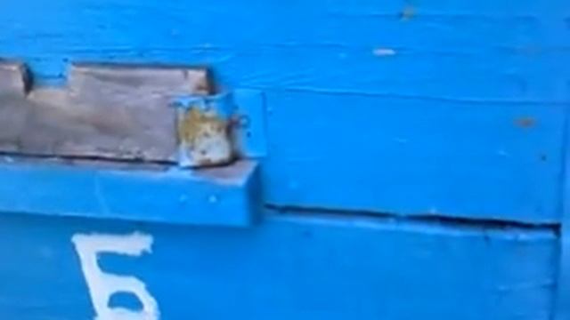 Лежак на пасеке смотреть онлайн