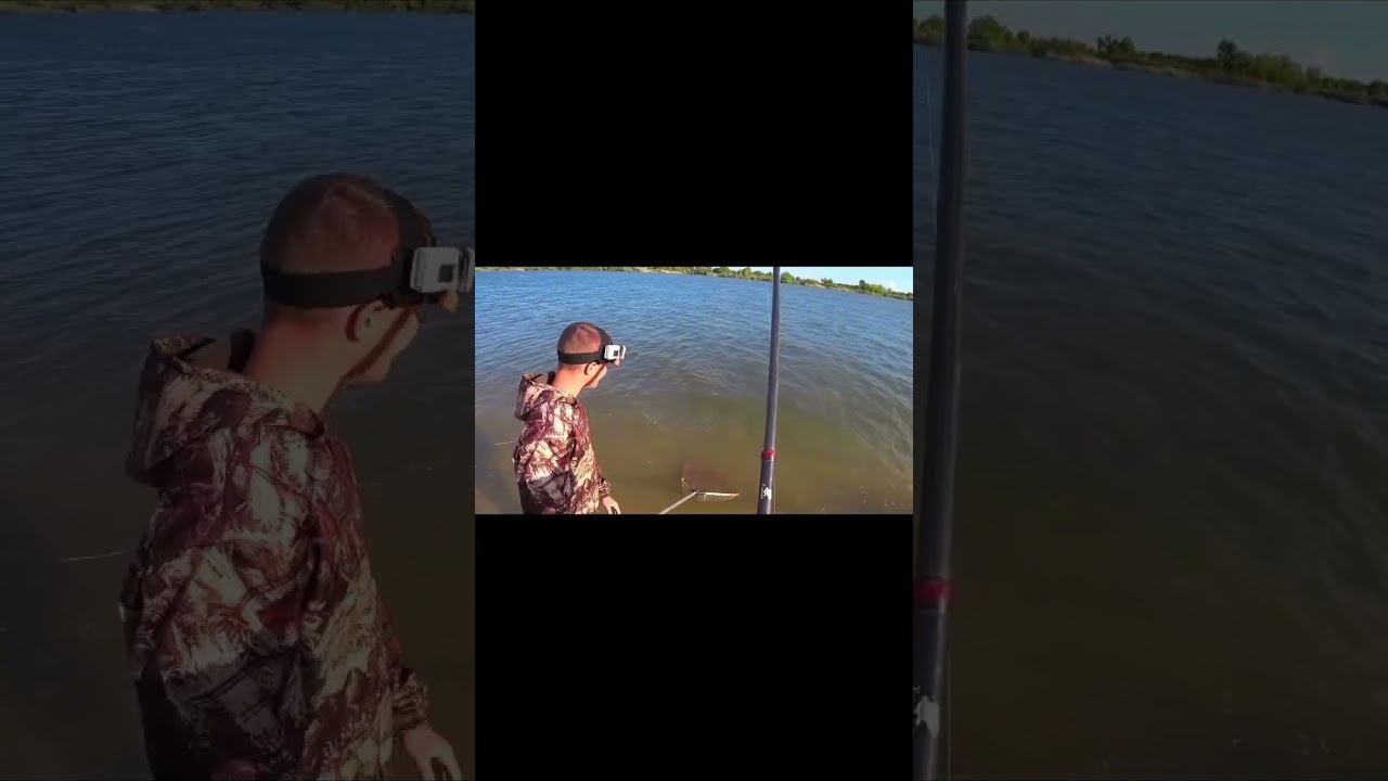 ОТ ЭТИХ МОНСТРОВ БОЛЯТ РУКИ !!! ДОН 2022 !!! 4 ЧАСТЬ #shorts смотреть онлайн