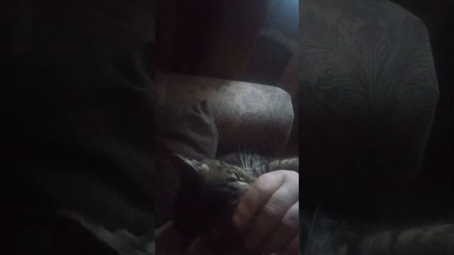 7 февраля 2023 г. смотреть онлайн