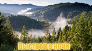 Выстрел в ночи