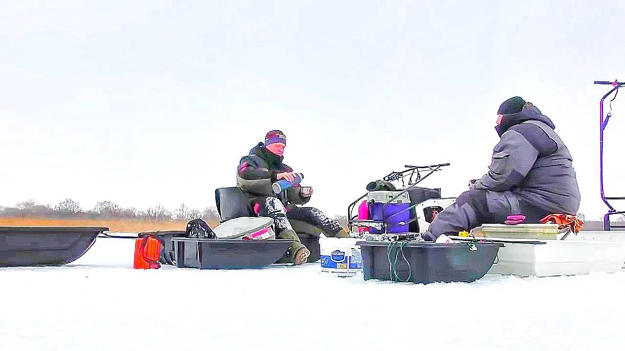 ОСТАВИЛИ ЖЕРЛИЦЫ НА НОЧЬ И...!!! УТРОМ БЫЛИ В ШОКЕ ОТ УВИДЕННОГО!!! смотреть онлайн