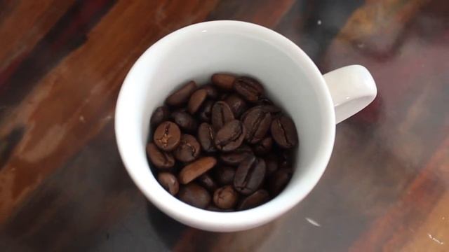 SPECIAL BLEND COFFEE (ROBUSTA ARABICA BLEND) & SANS COFFEE (FULL ARABICA BLEND)