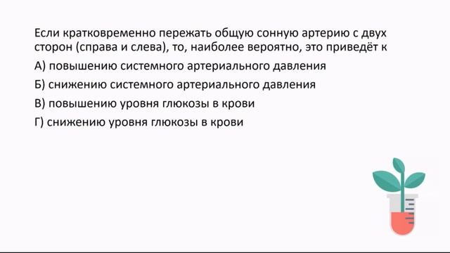 Биология. 2 урок. Подготовка к муниципальному этапу ВсОШ. 9-11 класс. смотреть онлайн