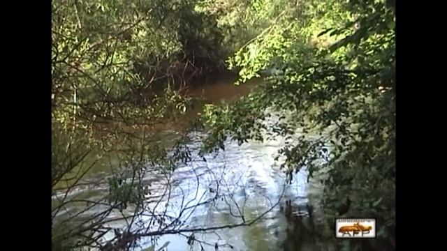 DV 9 мин р Решётка смотреть онлайн