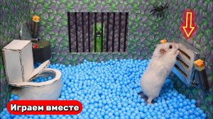 Хомяк выбирается из сложной тюрьмы с ловушками ! Забавные животные ! Видео для детей
