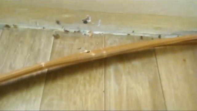 Это рудненский взрослый центр оказания социальных услуг под номером 3. смотреть онлайн