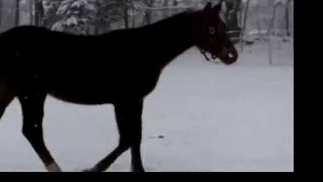 Cappuccino Royale смотреть онлайн