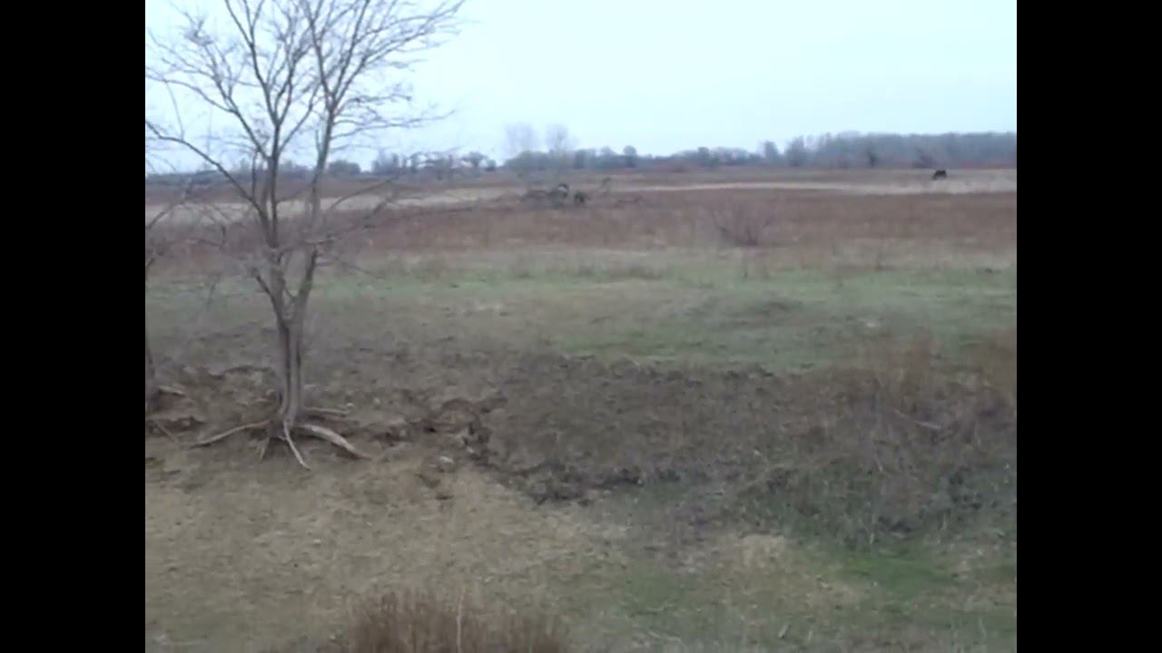 2.12.2024 ЧТО ДЕЛАТЬ? : ЛПХ В ОПАСНОСТИ смотреть онлайн