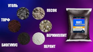 Как Сделать Грунт Для Манго В Домашних Условиях