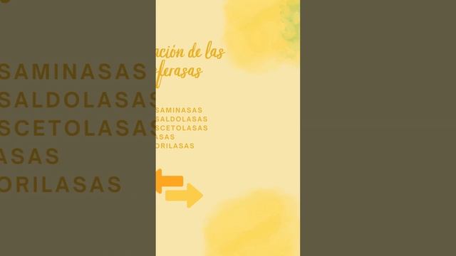 clasificación de enzimas clase 2 transferasas #ciencia #bioquimica #chemistry смотреть онлайн