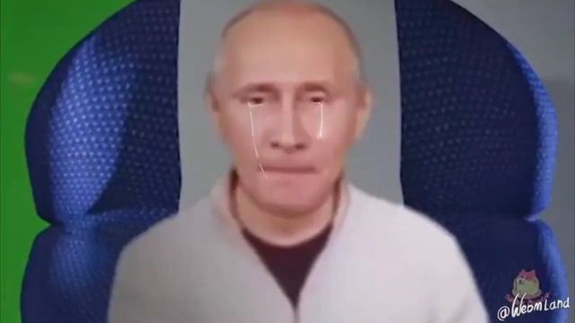 палтус и онлайн смотреть онлайн
