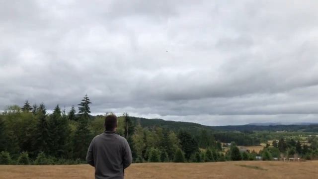 Successful flight of E-Flite Cherokee смотреть онлайн