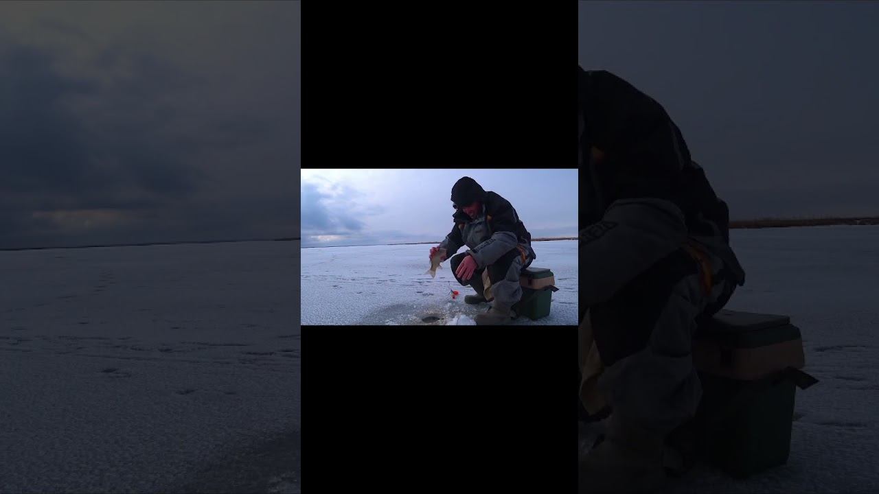 ЛУЧШЕЕ МЕСТО ДЛЯ ЗИМНЕЙ РЫБАЛКИ !!!!#shorts смотреть онлайн