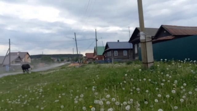 Кофе и восемь бутербродов!Уехали в деревню к родителям на месяц!!! смотреть онлайн