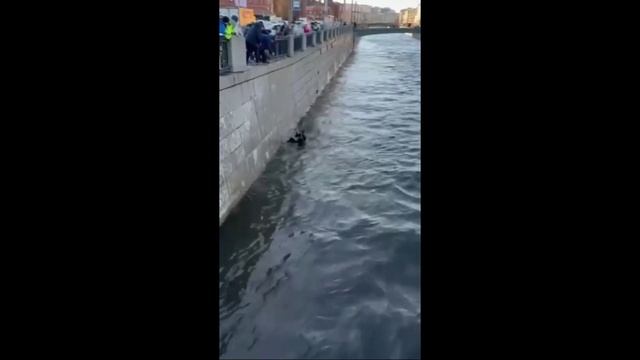 Два автомобиля за день упали в реку в Санкт -Петербурге. смотреть онлайн