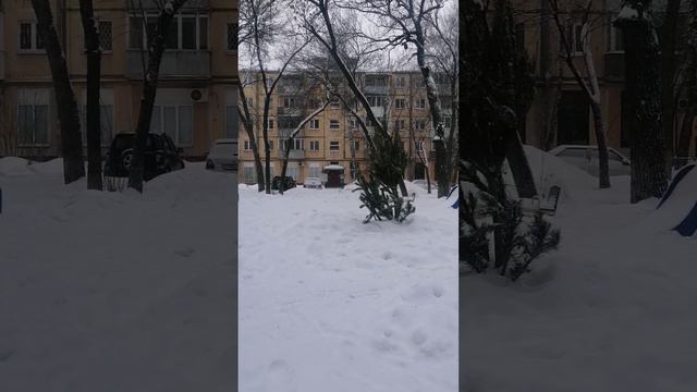 Snowfall смотреть онлайн