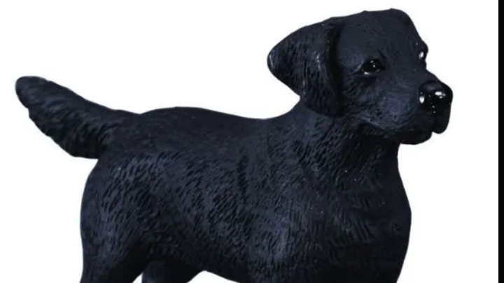 обзор фигурки собаки от фирмы collecta лабрадор ретвилер смотреть онлайн