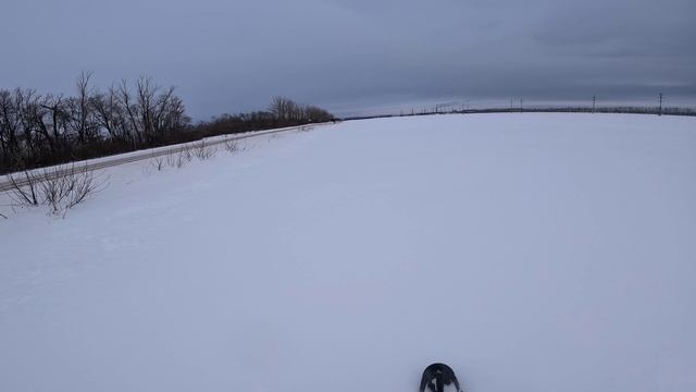 Snowbike Cbs300 Emk7