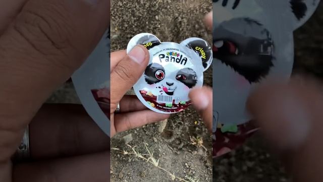 Fall !! sharing ch0co p4nda with ants #short смотреть онлайн