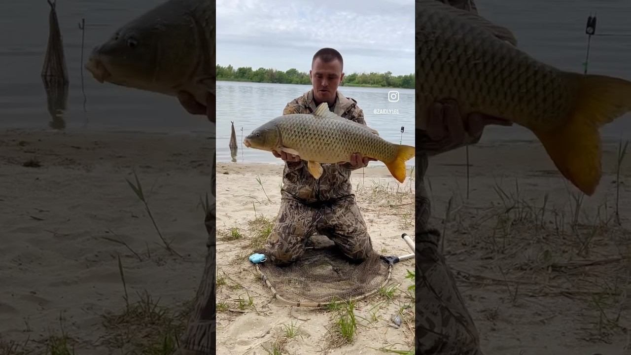 РЫБАЛКА !!! ЯРКИЕ МОМЕНТЫ !!! смотреть онлайн