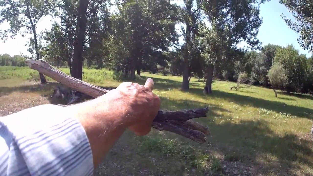 04.07.2023 ЛПХ в Опасности смотреть онлайн