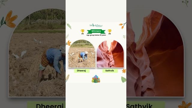 Photography Competition, “Your Rendezvous with Nature” - Results Announcement смотреть онлайн