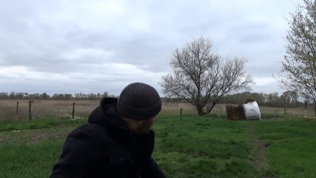 Что из этого вышло смотреть онлайн