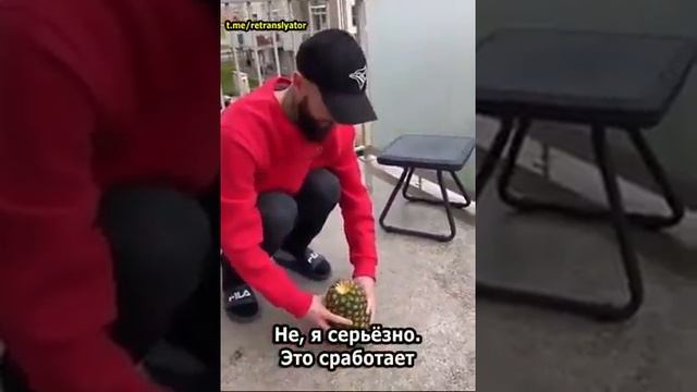 1 ноября 2020 г. смотреть онлайн