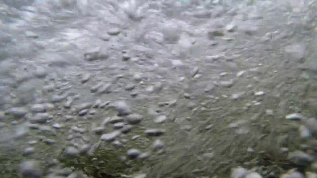 Речка выпадающая из Кахозера 1.11.2014г. смотреть онлайн
