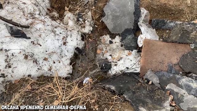 Наш ДРЕНАЖ работает! / Влог от 04.04.21 смотреть онлайн