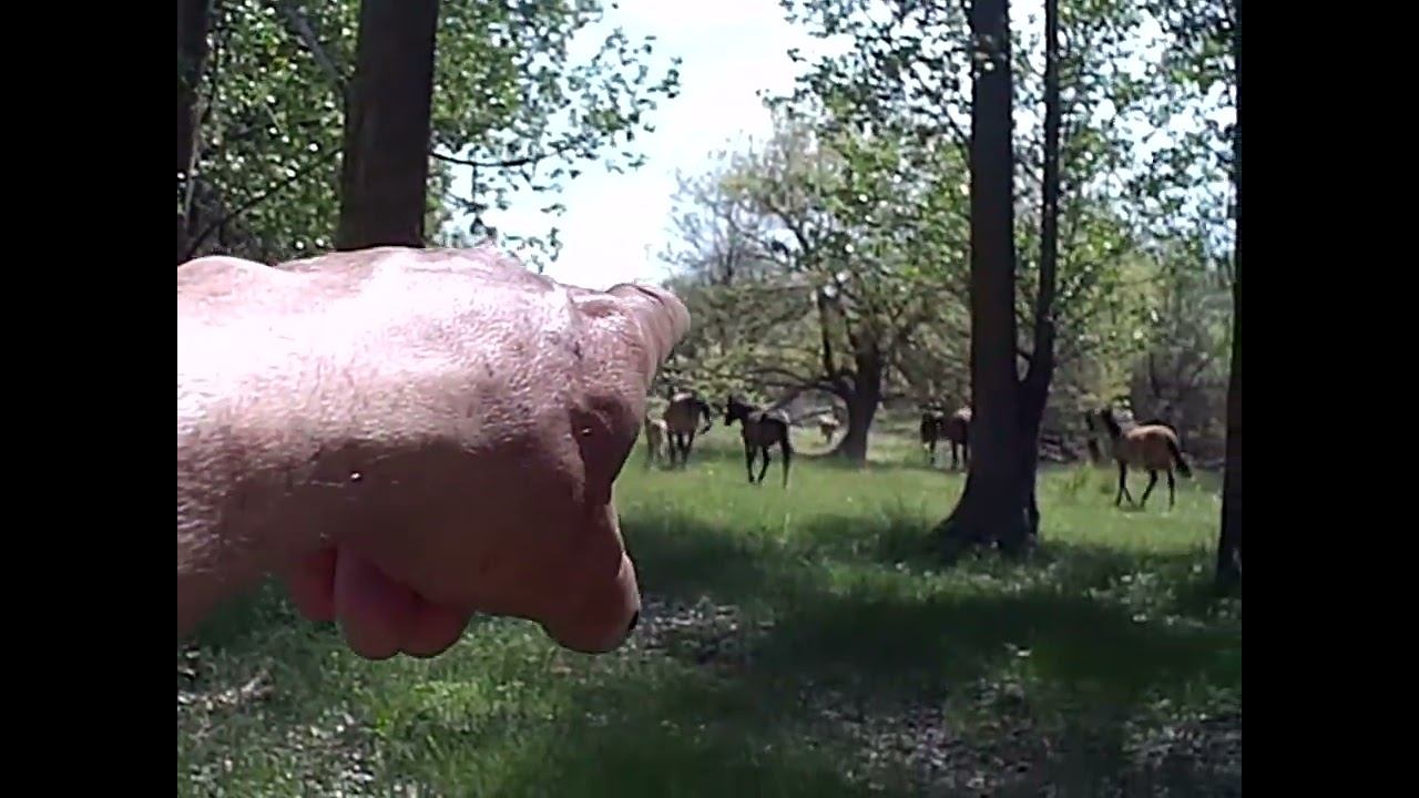 24.04.2024 ЧТО ДЕЛАТЬ? : ЛПХ В ОПАСНОСТИ смотреть онлайн