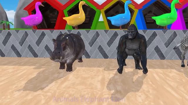 Paint & Animals Duck,Gorilla,Lion,Elephant,Cow,Panda Fountain Crossing Transformation Animal Cartoo