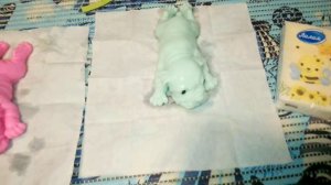 Купание сквиши собачек💦🛁🫧🐶