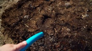 ВОЗРОЖДАЕМ СТАРУЮ ДЕРЕВНЮ | НОВЫЙ СРУБ ДЛЯ НАШЕЙ УСАДЬБЫ | ДЕЛАЕМ ПАРНИК ИЗ НАВОЗНОЙ КУЧИ