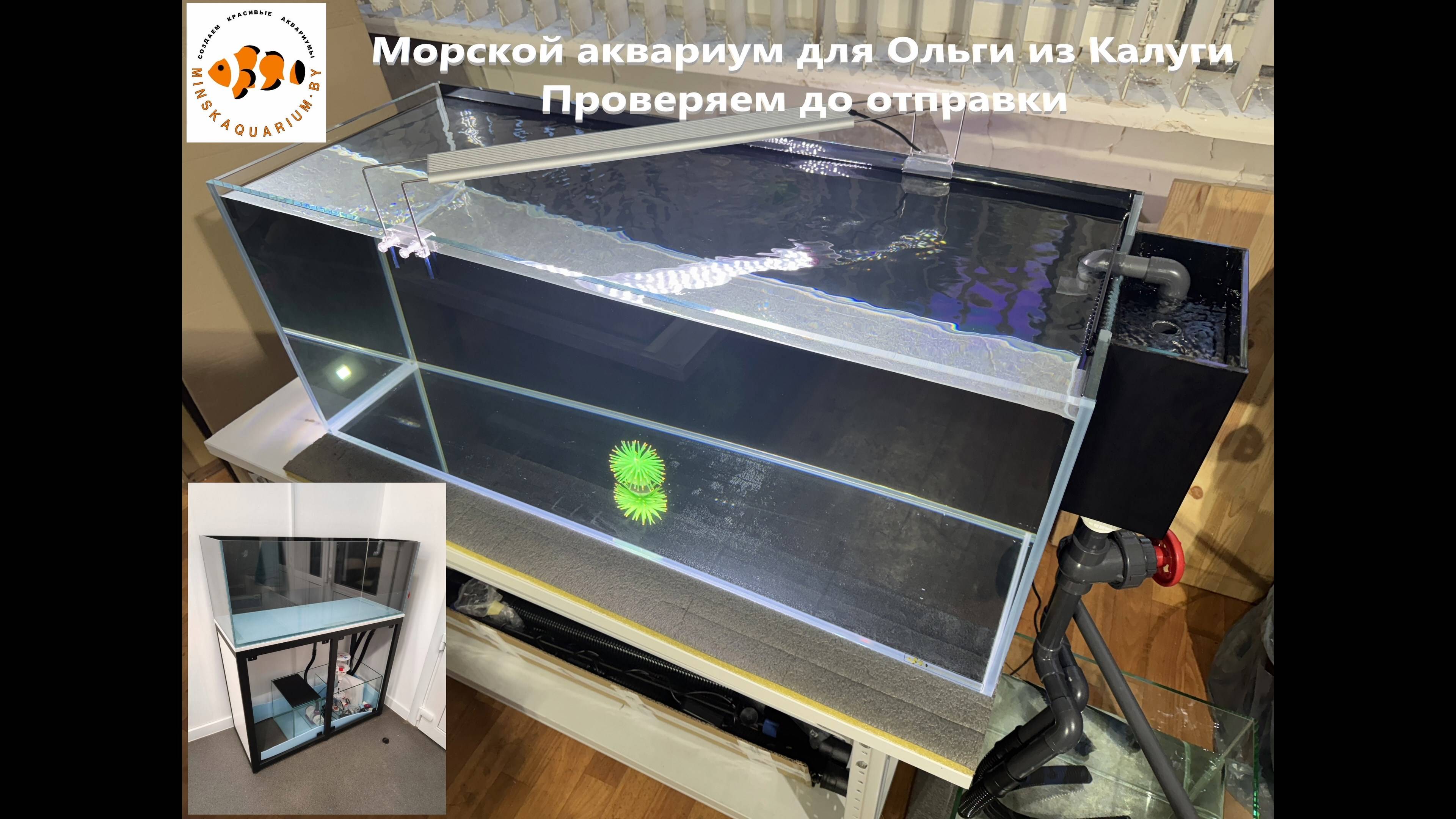 Морской аквариум для Ольги из Калуги смотреть онлайн