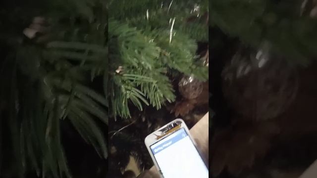 старый телефон работает😮 смотреть онлайн